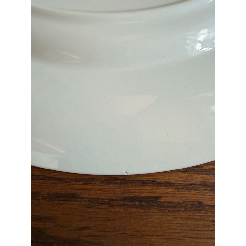 Spode Blue Room Botanical 12.5" Charger Plate Georgian Series England - Picture 7 of 10